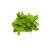 Majoranna morzsolt 200g